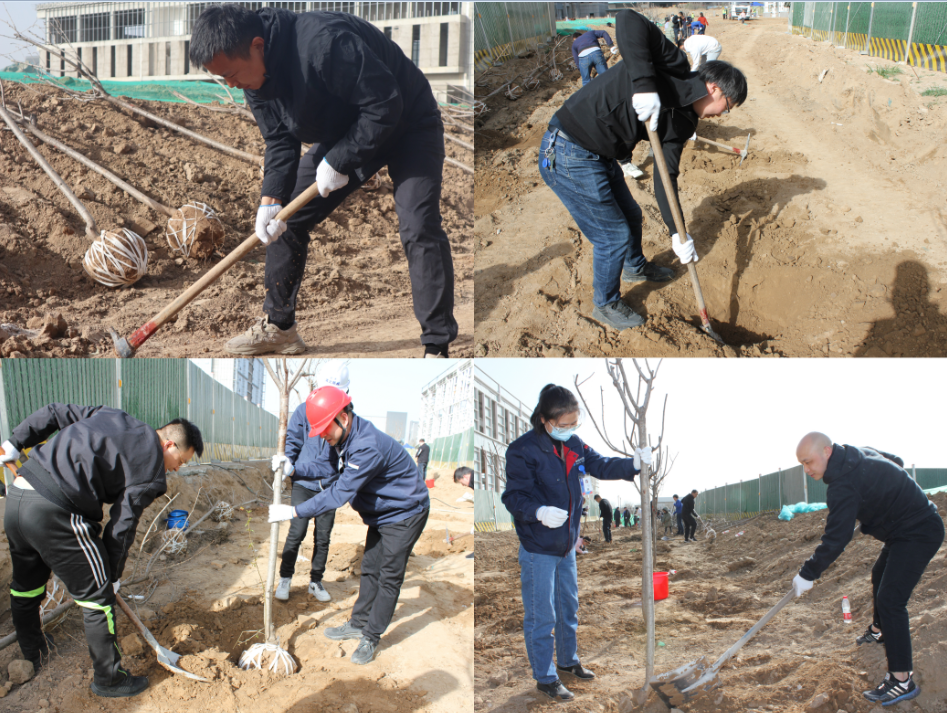 賽特公司開展“栽種新希望，奮進(jìn)新征程”植樹節(jié)主題活動(dòng)